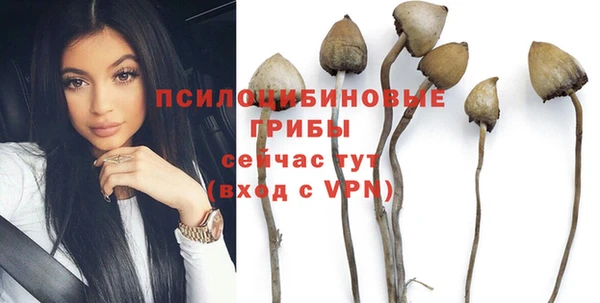 ГАЛЛЮЦИНОГЕННЫЕ ГРИБЫ Аркадак