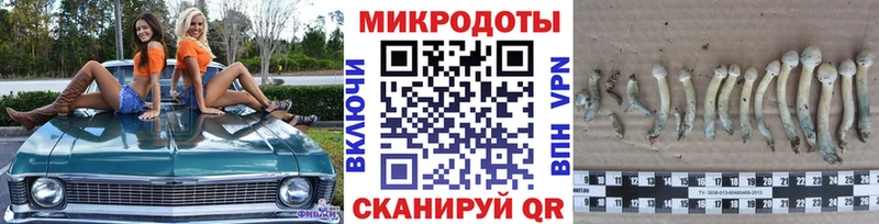 Галлюциногенные грибы прущие грибы  наркошоп  Никольское 